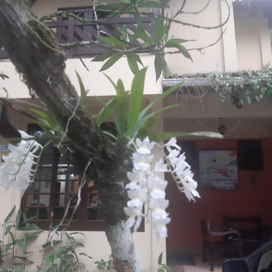 Pousada Recanto Dos Tangaras Juquei Esterno foto
