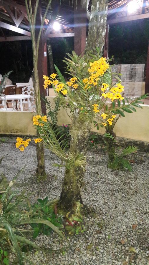 Pousada Recanto Dos Tangaras Juquei Esterno foto